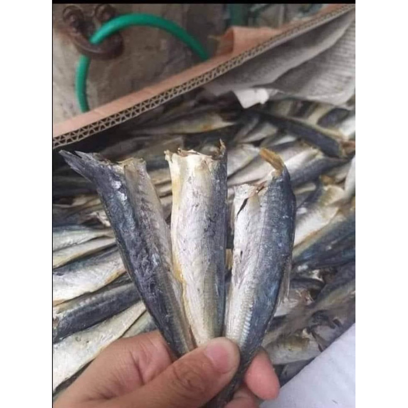 3 con Cá nục khô - Cá Khô