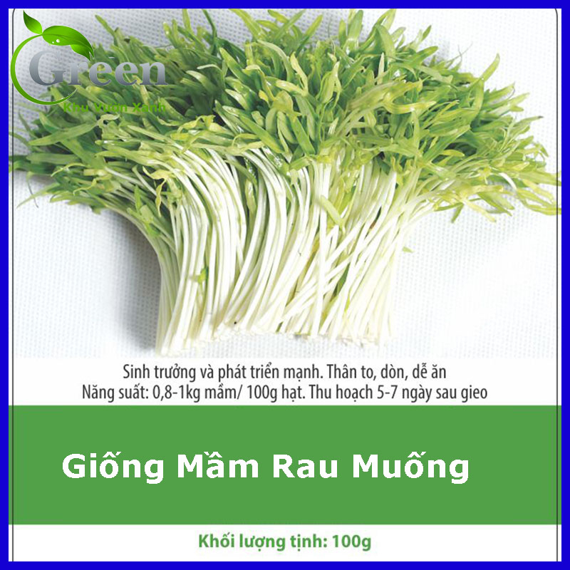 Hạt Giống Mầm Rau Muống (50 Gam)
