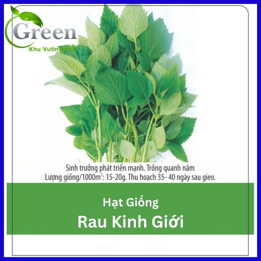Hạt Giống Rau Kinh Giới Lâu Năm Dễ Trồng, Nhanh Thu Hoạch (Gói 1 gam ~ 1800 hạt)