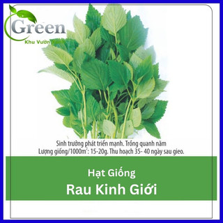 Hạt Giống Rau Kinh Giới