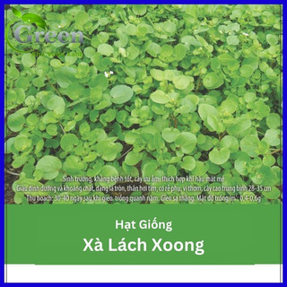 Hạt Giống Xà Lách Xoong Mỹ