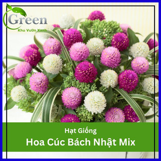 Hạt Giống Hoa Cúc Bách Nhật Nhiều Màu