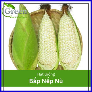 Hạt Giống Bắp Nếp Nù OP (50G)