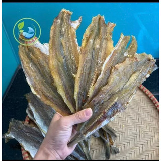 Cá mối khô ngon dày mình 1kg giá sỉ - Cá Khô