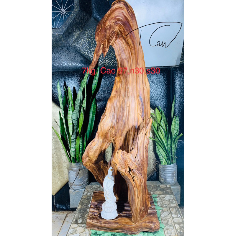 lũa ngọc am đỏ,dáng uốn lượn_giá xưởng