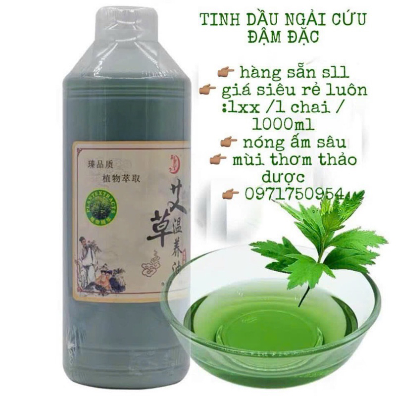 Tinh dầu massage ngải cứu đậm đặc