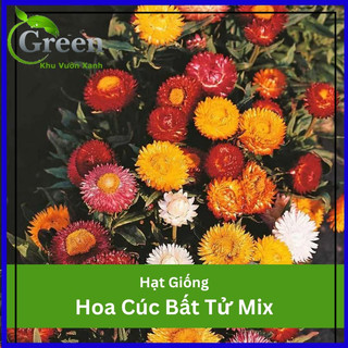 Hạt Giống Hoa Bất Tử (Cúc Bất Tử) Nhiều Màu Mix