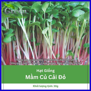 Hạt giống rau mầm củ cải đỏ - gói 30 gam