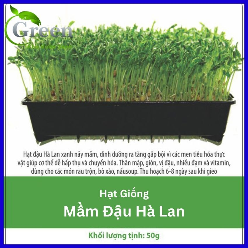 Hạt Giống Rau Mầm Đậu Hà Lan Dễ Trồng, Giàu Dinh Dưỡng (Gói 50 gam ~ 400 hạt)