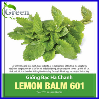 Hạt Giống Bạc Hà Chanh Lemon Balm