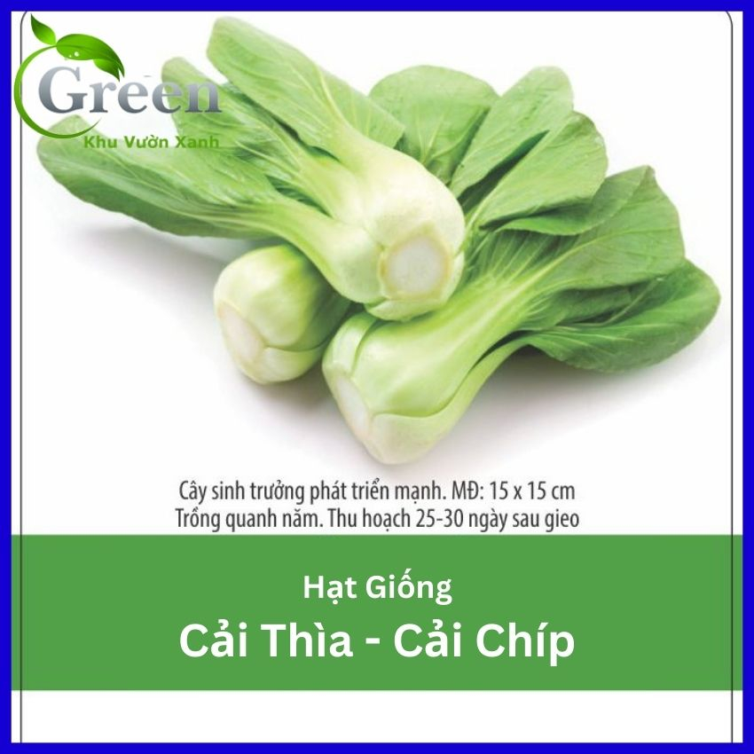 Hạt Giống Cải Thìa (Cải Chíp) Dễ Trồng Nhanh Thu Hoạch Gói 20 Gam