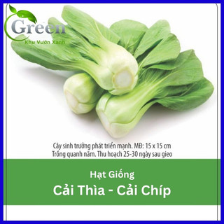 Hạt giống cải thìa 20 gam