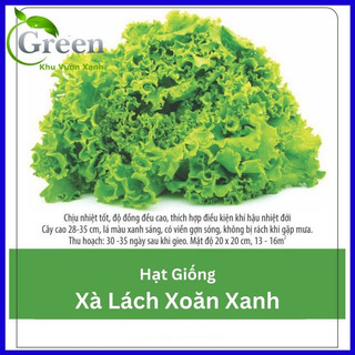 Hạt Giống Xà Lách Xoăn Xanh