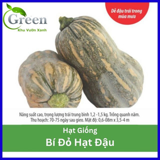 Hạt Giống Bí Đỏ Hạt Đậu Đặc Ruột Lai F1