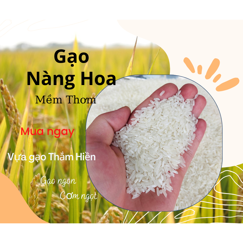 5KG Gạo Nàng Hoa - Gạo Mềm Thơm - Bena Organic