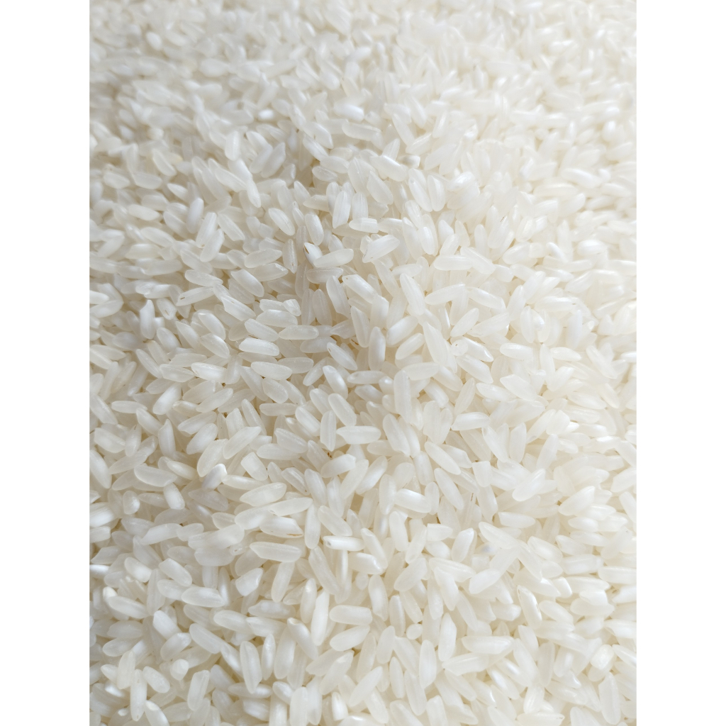 5KG Gạo Hàm Châu - Gạo Nở Xốp Mềm - Bena Organic