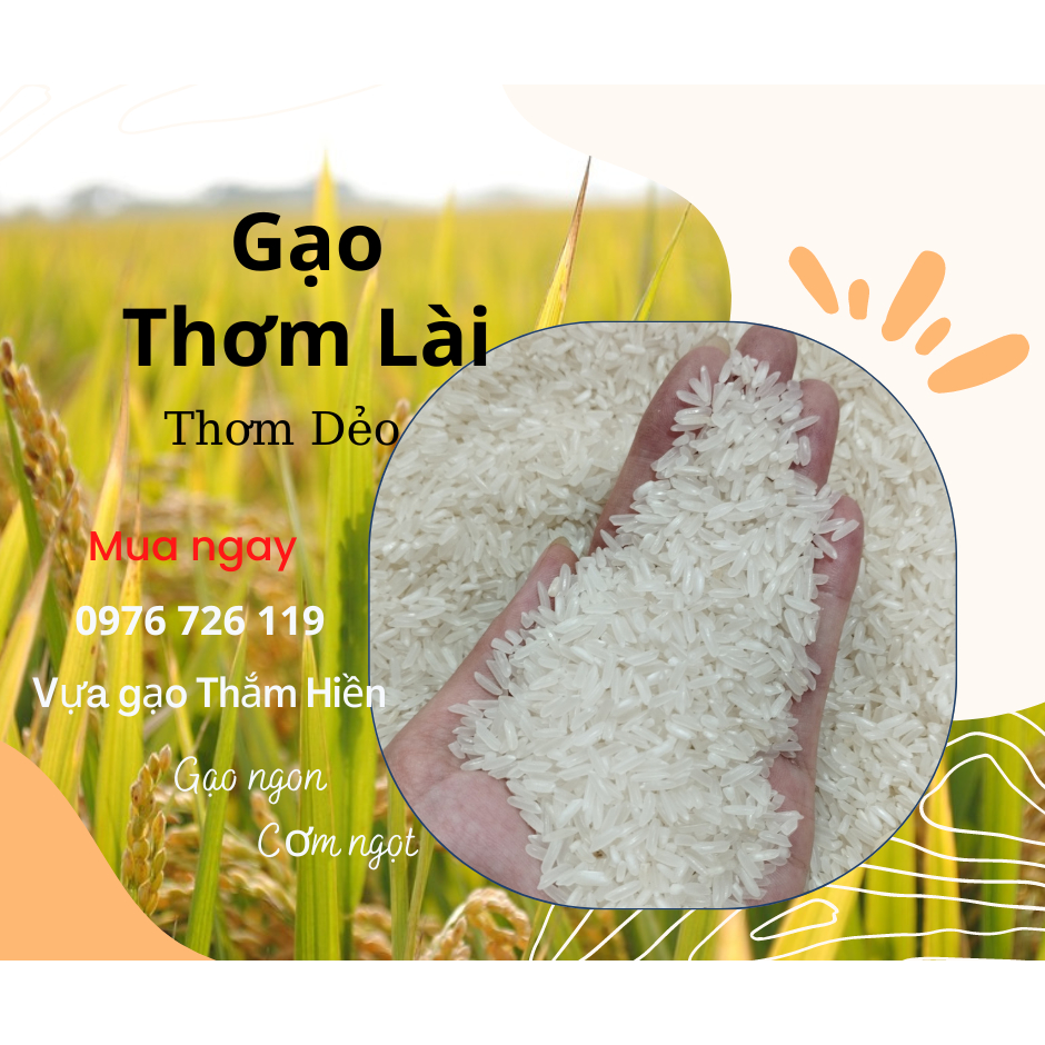 5KG Gạo Thơm Lài - Gạo Thơm Dẻo - Gạo Ngon Đậm Vị - Bena Organic