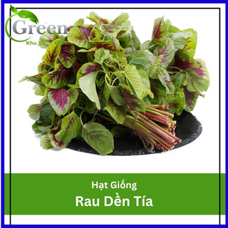 Hạt Giống Rau Dền Tía 20 Gam