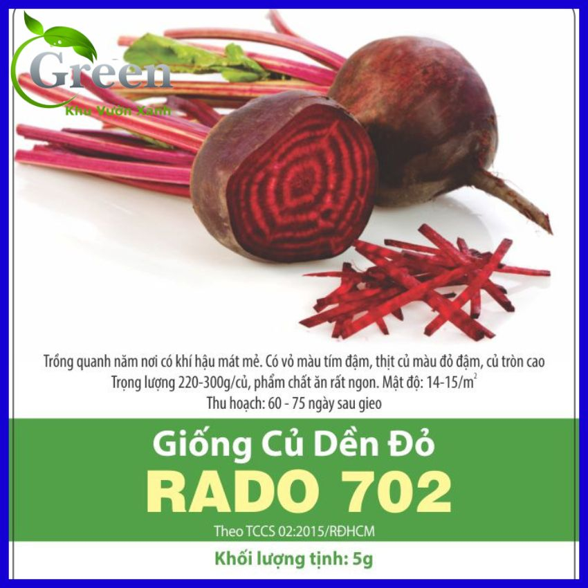 Hạt Giống Củ Dền Đỏ Thịt Đỏ Đậm, Củ To Đều Dễ Trồng