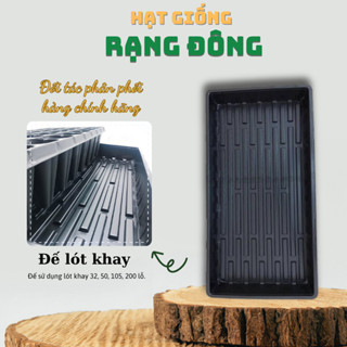 Đế lót khay ươm hạt giống, trồng rau mầm (54x28x6 cm) đựng các loại khay 32,50,105, 200 - Hạt giống Rạng Đông