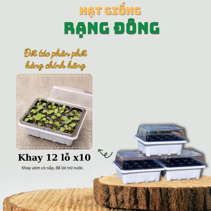 Khay ươm Hạt giống có nắp 12 lỗ (10 khay), ngăn chặn côn trùng, chịu nhiệt, tái sử dụng nhiều lần - Hạt giống Rạng Đông