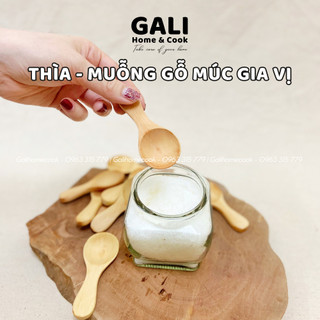 Muỗng Gỗ Gia Vị Mini Phong Cách Nhật - Thìa Gia Vị Nhỏ Múc Gia Vị Trà Cà Phê Ngũ Cốc | Galihomecook
