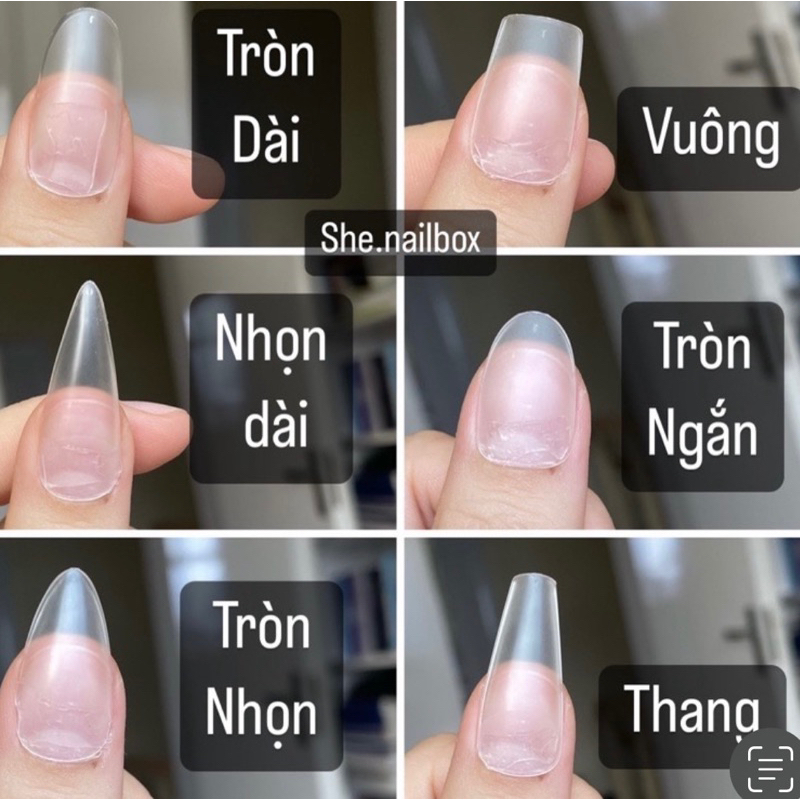 Nailbox Ombre hồng mắt mèo trái tim