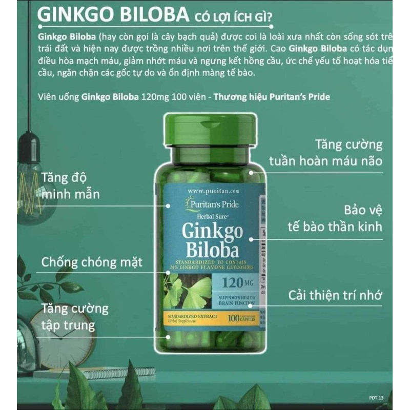 Viên uống tuần hoàn não Ginkgo Biloba 120mg Puritan's Pride