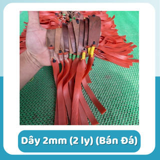 Dây thun độ dầy 2mm dài 25cm cho ncs