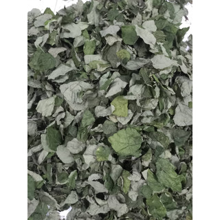 Lá sương sâm lông khô làm thạch sương sâm, 200g, có tặng nang mực