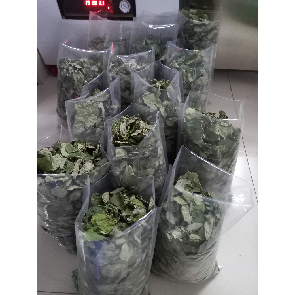 Lá sương sâm lông khô làm thạch sương sâm, 200g, có tặng nang mực