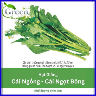 Hạt Giống Cải Ngọt Bông