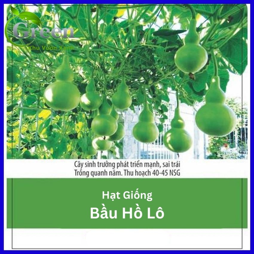 Hạt Giống Bầu Hồ Lô Dễ Trồng
