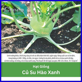 Hạt giống củ su hào