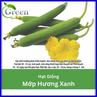 Hạt Giống Mướp Hương Xanh Lai F1