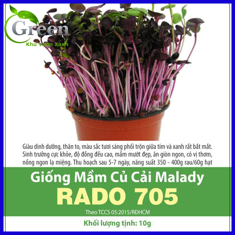 Hạt Giống Rau Mầm Củ Cải Malady Giàu Dinh Dưỡng, Sinh Trưởng Mạnh, Nhanh Thu Hoạch