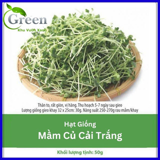 Hạt giống rau mầm củ cải trắng 50 gam
