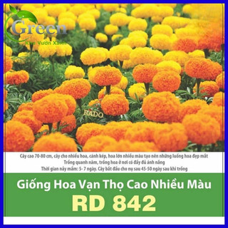 Hạt giống hoa vạn thọ cao nhiều màu