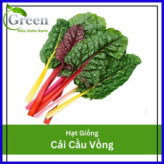 Hạt Giống Cải Cầu Vồng Xuất Xứ Italy