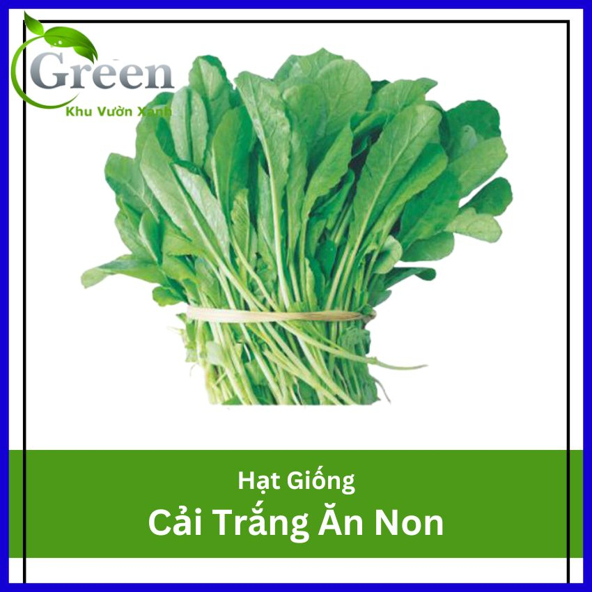 Hạt Giống Rau Cải Trắng Ăn Non 30 Gam