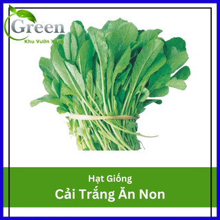 Hạt Giống Rau Cải Trắng Ăn Non 30 Gam