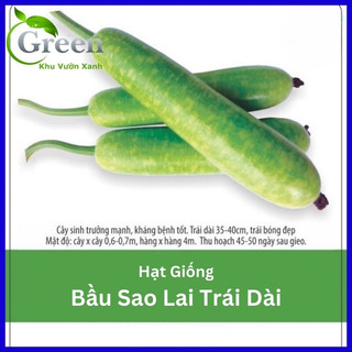 Hạt giống bầu sao lai trái dài