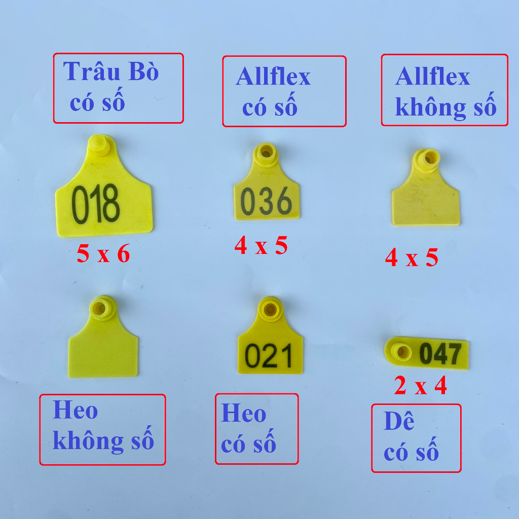 Thẻ Tai Heo, Thẻ Tai Bò, Dê Có Số Và Không Số Loại thường và Allfelex