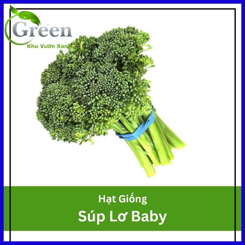 Hạt Giống Súp Lơ Baby Xanh Trồng Quanh Năm, Giàu Dinh Dưỡng