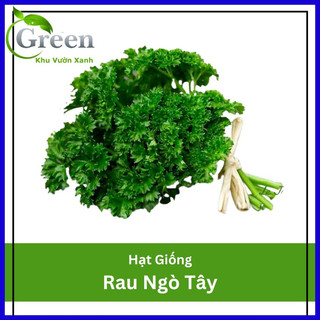 Hạt Giống Rau Ngò Tây