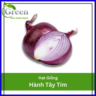 Hạt Giống Hành Tây Tím