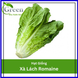 Hạt Giống Xà Lách Romaine