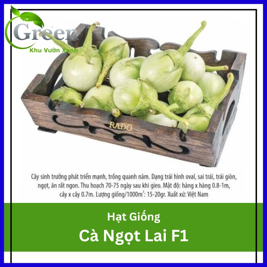 Hạt Giống Cà Ngọt Lai F1 (Cà Pháo Trứng) Trái Sai, Giòn Ngọt