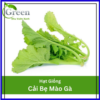 Hạt giống cải bẹ mào gà 20 gam