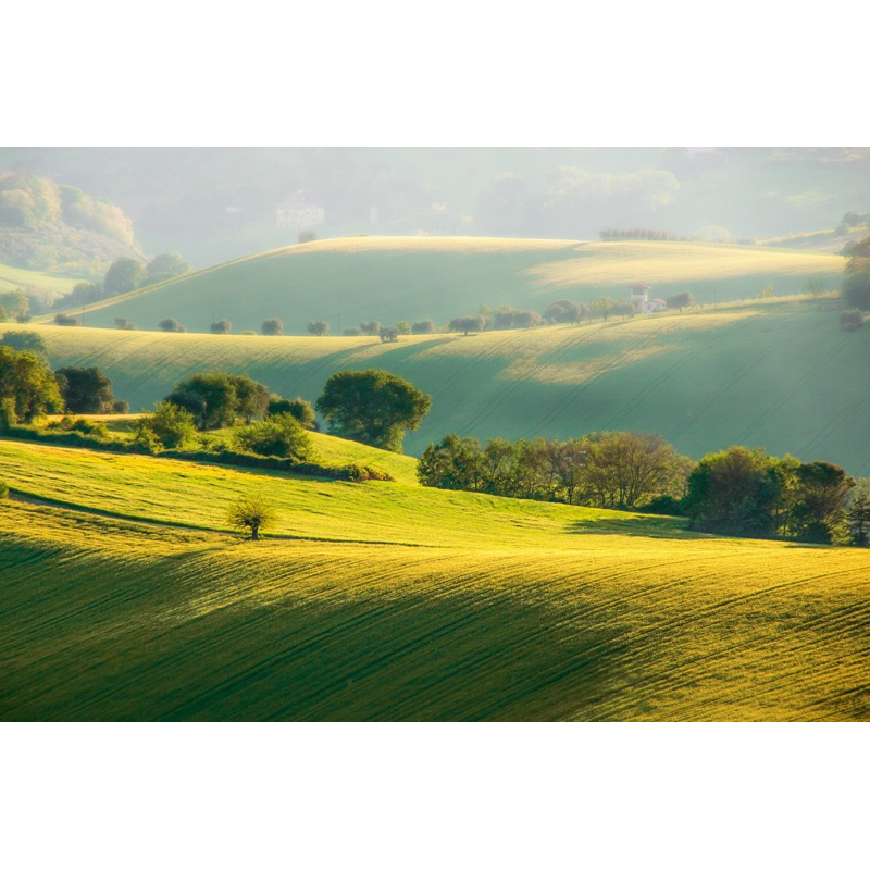 Máy ảnh Canon PowerShot G12 Màn hình LCD Xoay lật ,Chụp,Quay Video Full HD